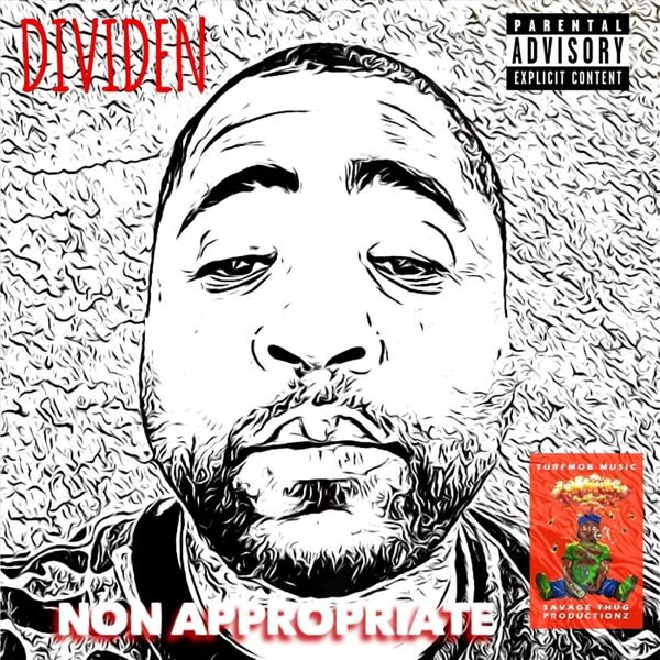 Cover art for Non Appropriate